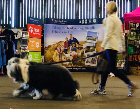 Waggy-tailed friends sniff out best holidays in Fife