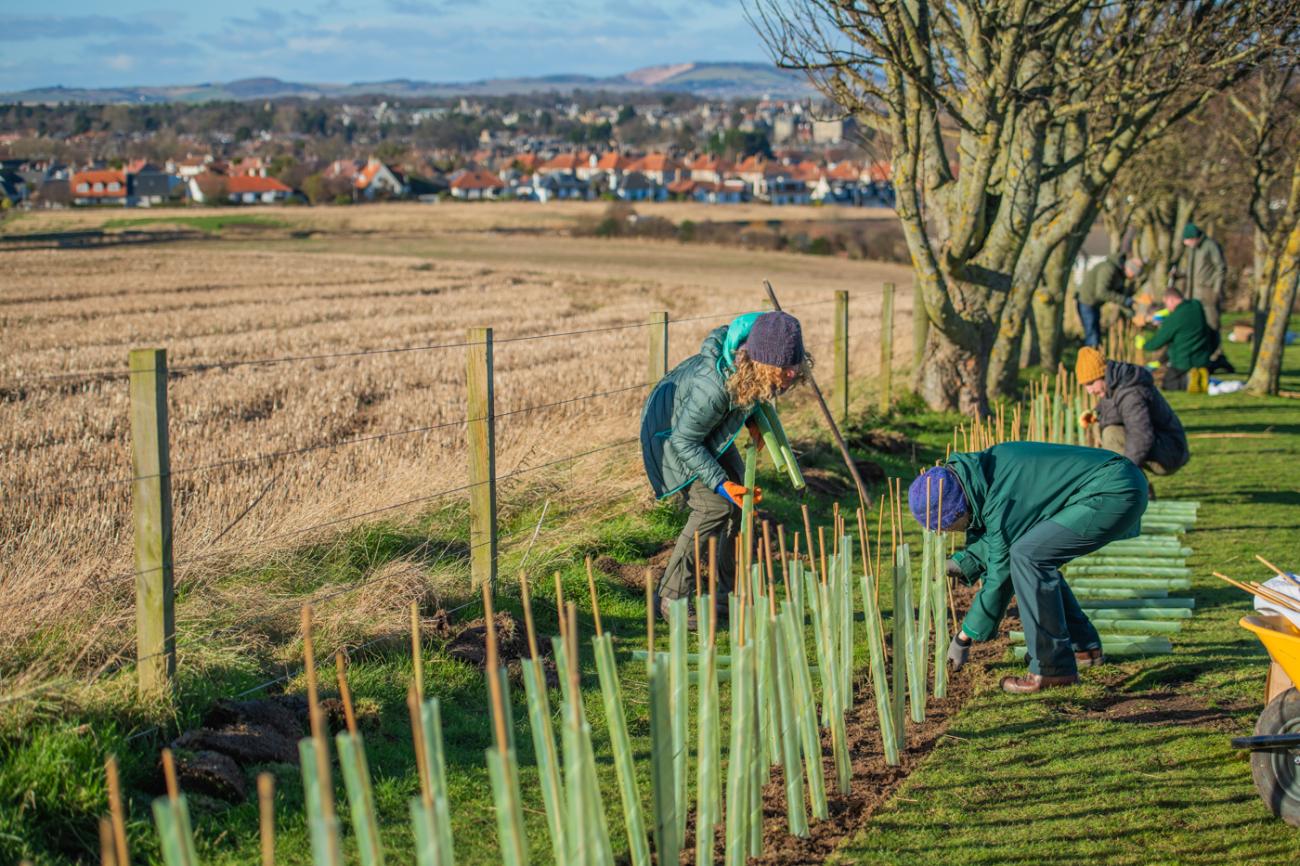 Tree planting initiative at St Andrews Holiday Park