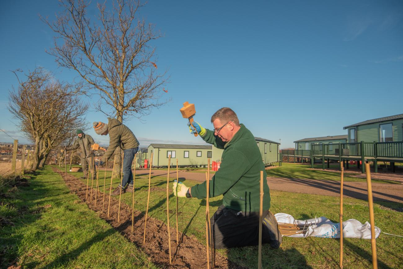 Tree planting initiative at St Andrews Holiday Park