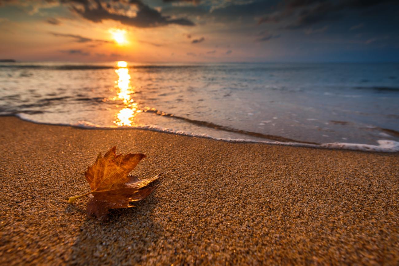 Autumn beach