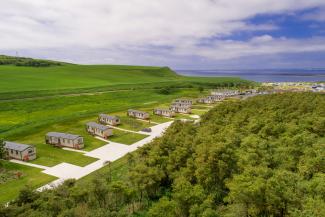 Castaway forest holiday homes nestled in a summer meadow with blue sky