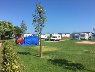 Newark Tent Field at St Monans Holiday Park