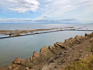 St Monans tidal pool