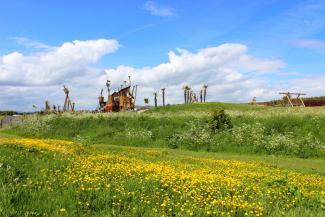 Summertime at the Robinson Crusoe Adventure Park